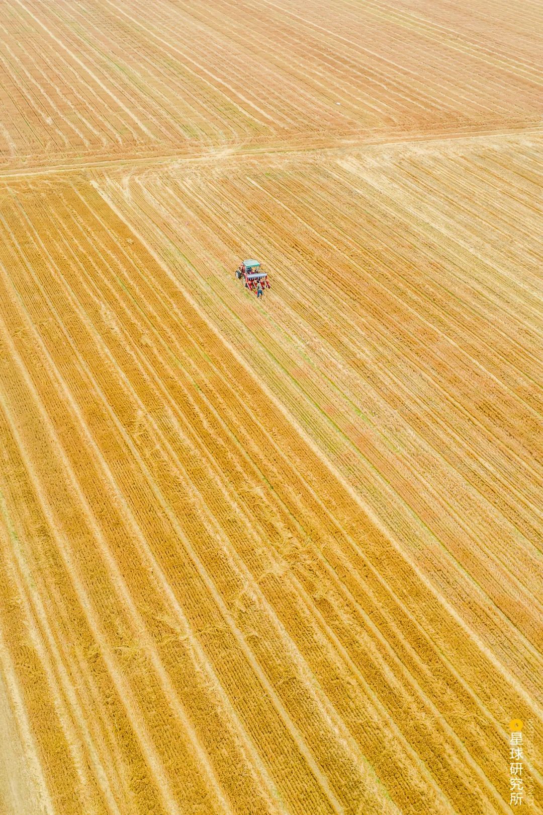 什么是郑州市,什么是郑州