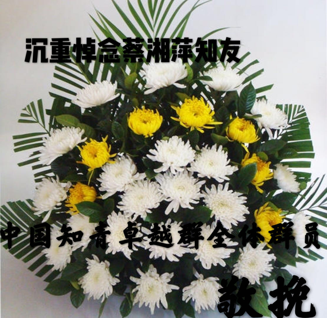 湘萍九天乘鹤群友八荒挽词——中国知青卓越群悼念老知青蔡湘萍