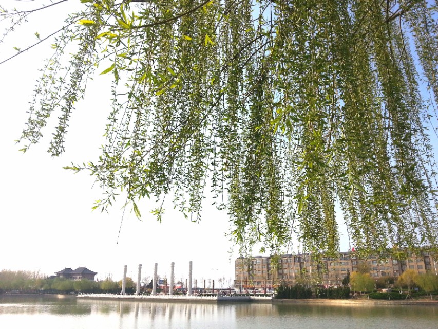 七绝诗新韵原创,五绝中华新韵的诗