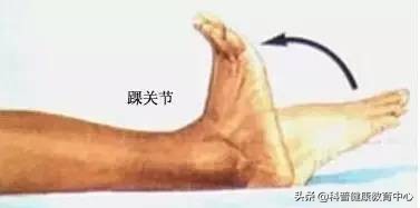 静脉曲张患者预防血栓形成锻炼操,怎样防止静脉曲张血栓