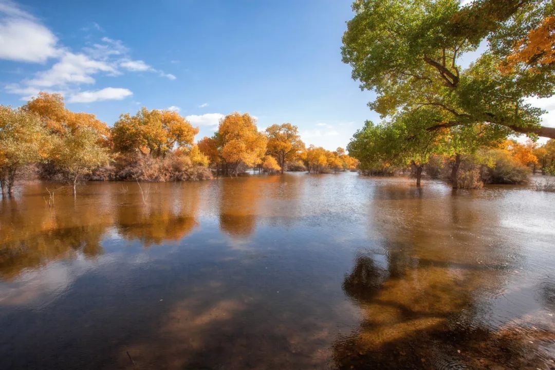 成都到额济纳胡杨林自驾旅游攻略,自驾胡杨林额济纳旗开什么车