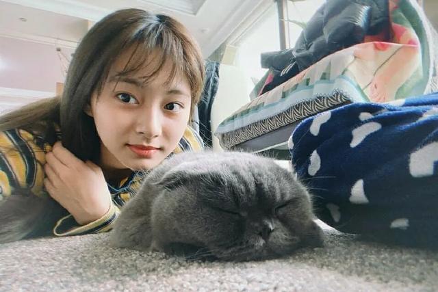 周子瑜向武汉捐款,周子瑜捐款400万