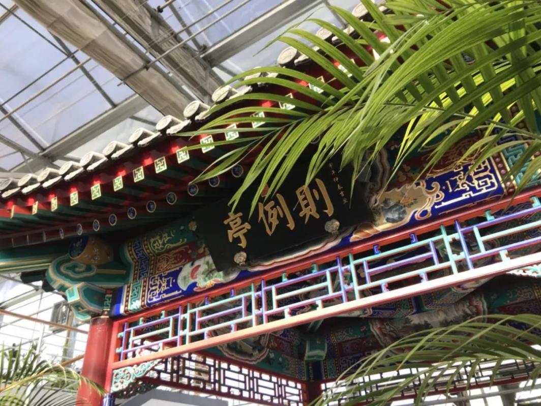 北京这个学校很“火”!坐拥3大花园、果园、动物园,集美貌与知识于一体!