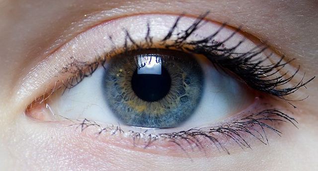 千奇百怪的动物眼睛，它们有各种各样的奇怪用途，和人眼相差甚远
