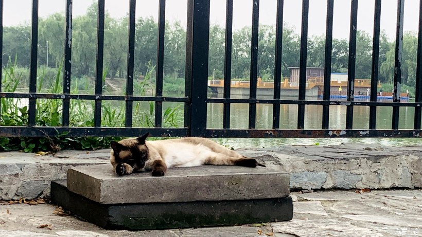 海淀区稻香湖景酒店,北京海淀稻香湖景酒店夜景
