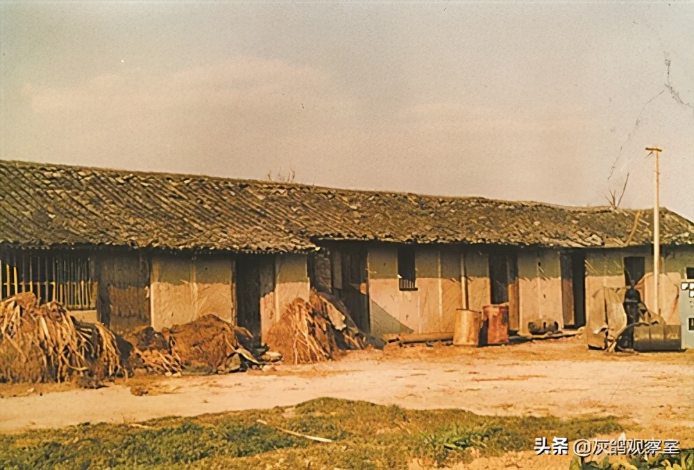 创业“老炮”李书福，6次改行，终成汽车首富，他凭什么