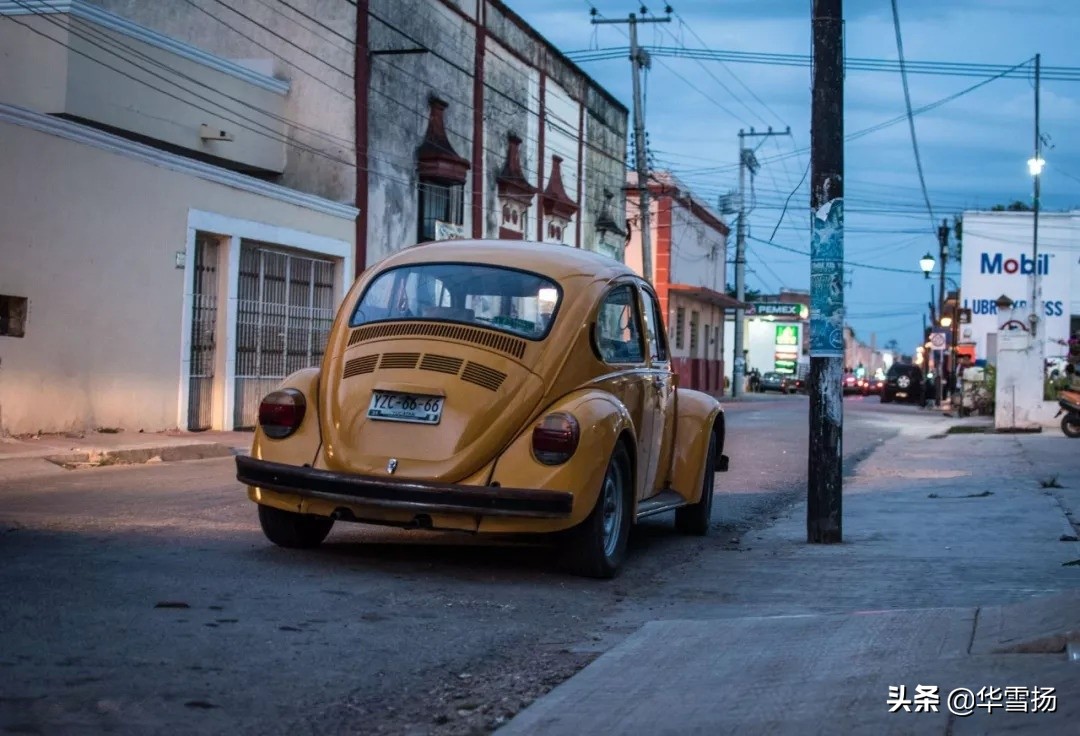 在这里你可以看到绚烂多彩的甲壳虫,因为他们是这里的精灵