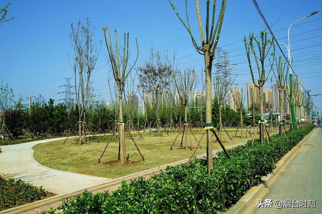 兰州民生工程最新进展,重点民生项目进展清单