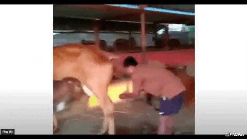 印度有没有食品添加剂,印度食品有添加剂吗