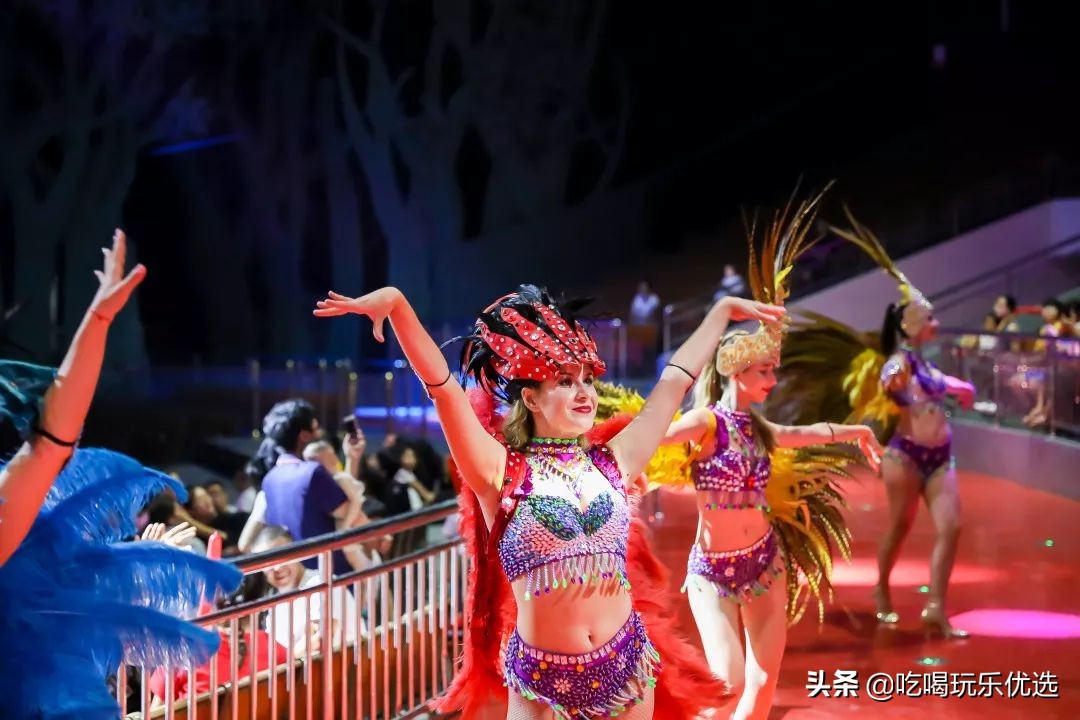 厦门灵玲动物王国大熊猫,厦门马戏团灵玲动物王国观光游览