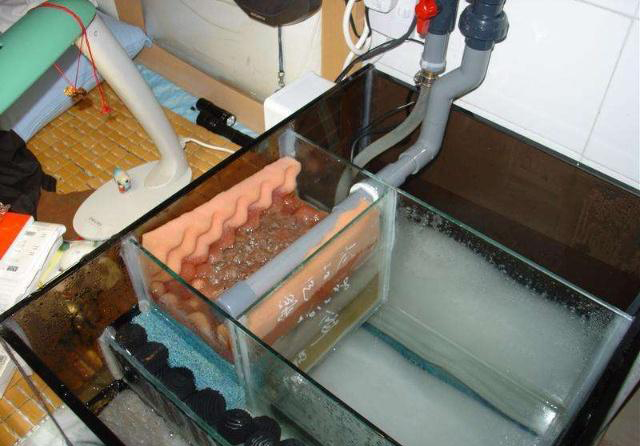 想把鱼养好，先把过滤这点事儿整明白就算向前迈了一大步