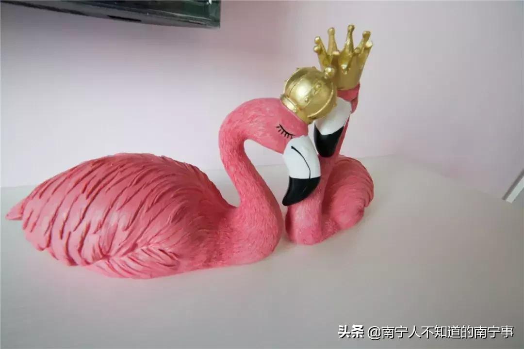 南宁有傻子，建了栋「爱情公寓」，只租不卖