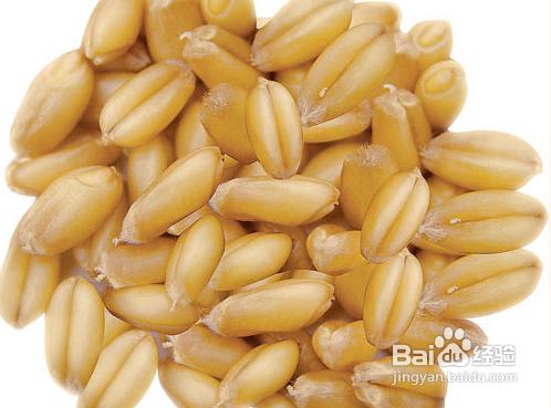 小麦拌种预防麦锈病用什么药,小麦拌种可以防治哪些病害