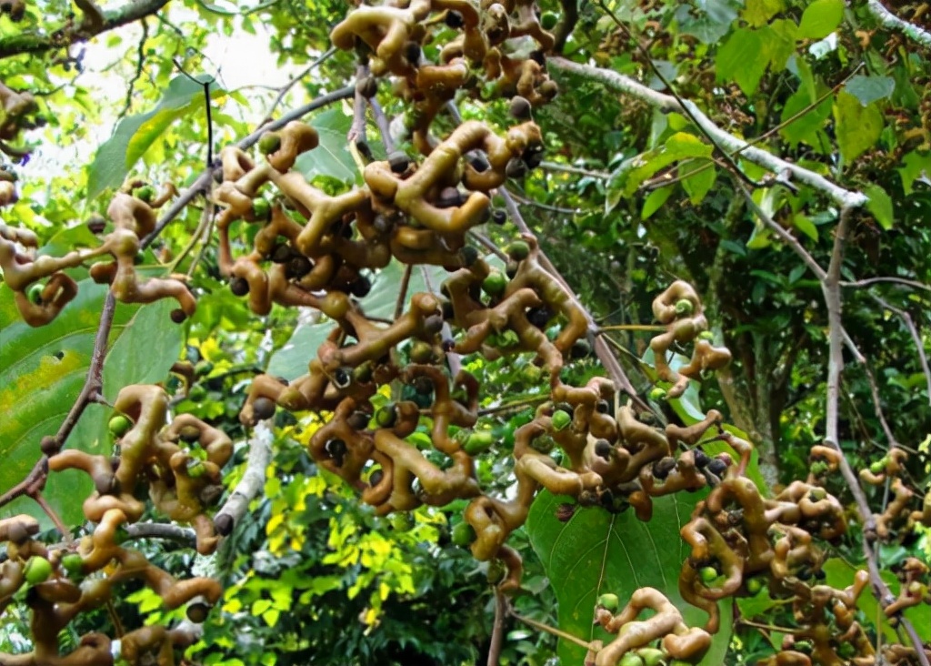 <html>
<head><title>502BadGateway</title></head>
<body>
<center><h1>502BadGateway</h1></center>
<hr><center>nginx</center>
</body>
</html>
<!--apaddingtodisableMSIEandChromefriendlyerrorpage-->
<!--apaddingtodisableMSIEandChromefriendlyerrorpage-->
<!--apaddingtodisableMSIEandChromefriendlyerrorpage-->
<!--apaddingtodisableMSIEandChromefriendlyerrorpage-->
<!--apaddingtodisableMSIEandChromefriendlyerrorpage-->
<!--apaddingtodisableMSIEandChromefriendlyerrorpage-->
