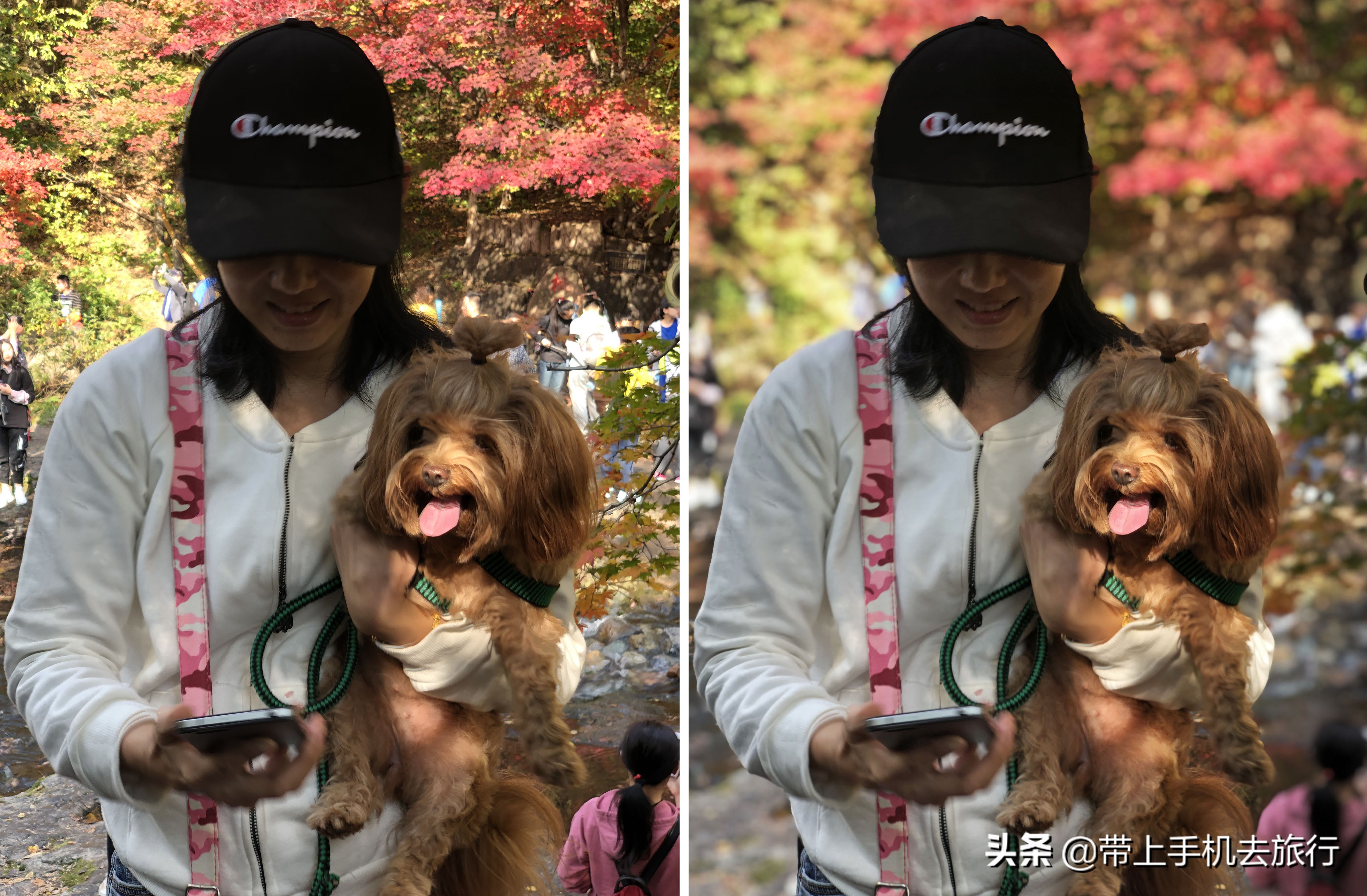 “减法”、虚化和“加法”,让画面瞬间干净简洁唯美