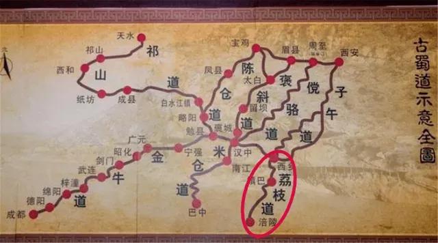 杨贵妃吃的荔枝产自哪里,杨贵妃爱吃的荔枝产自哪里