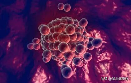 做试管婴儿应该知道的6个真相,做试管婴儿的常见问题