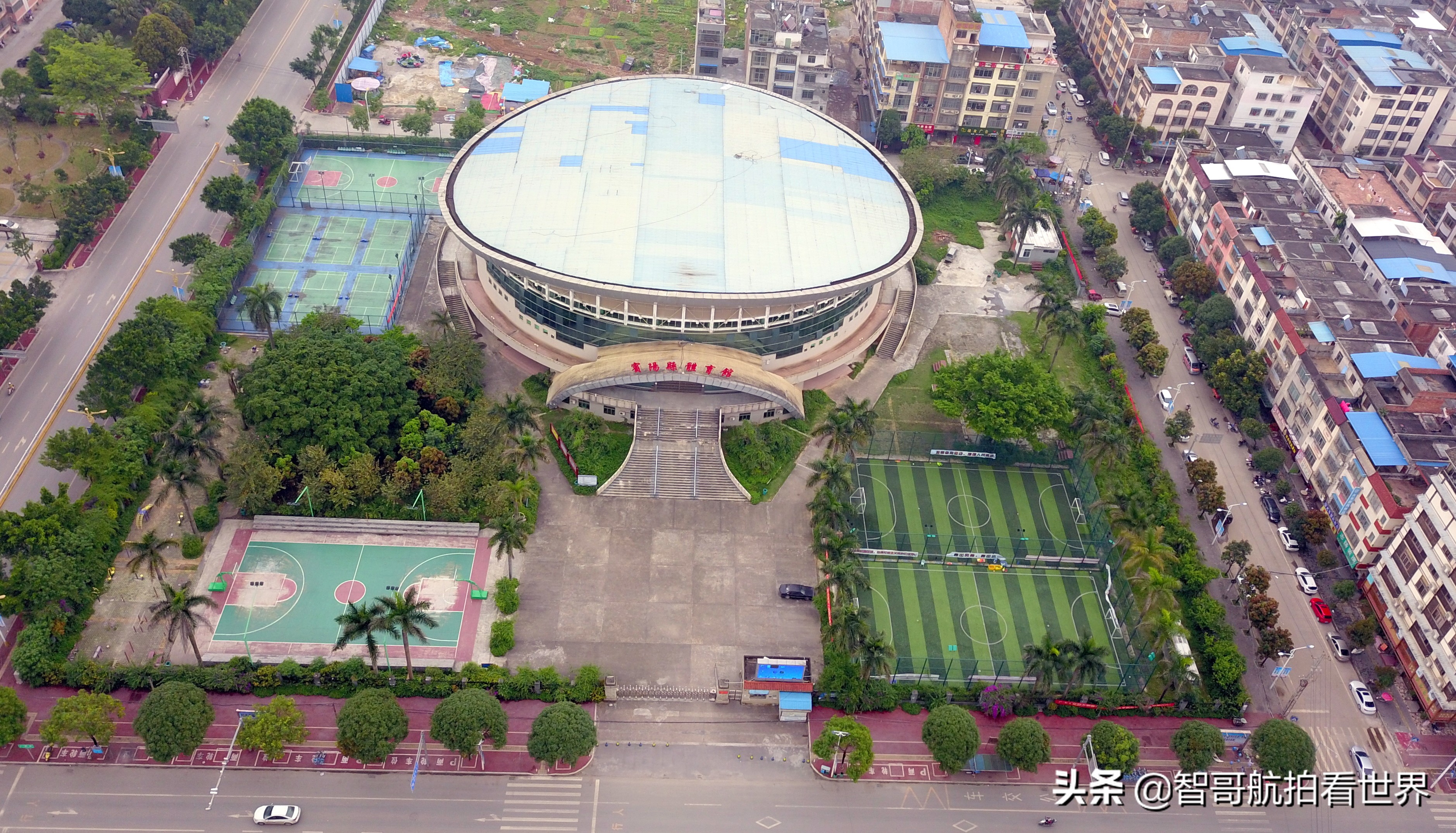 广西宾阳炮龙乡视频,宾阳炮龙之乡新闻