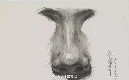 央美状元朱传奇素描,央美朱传奇