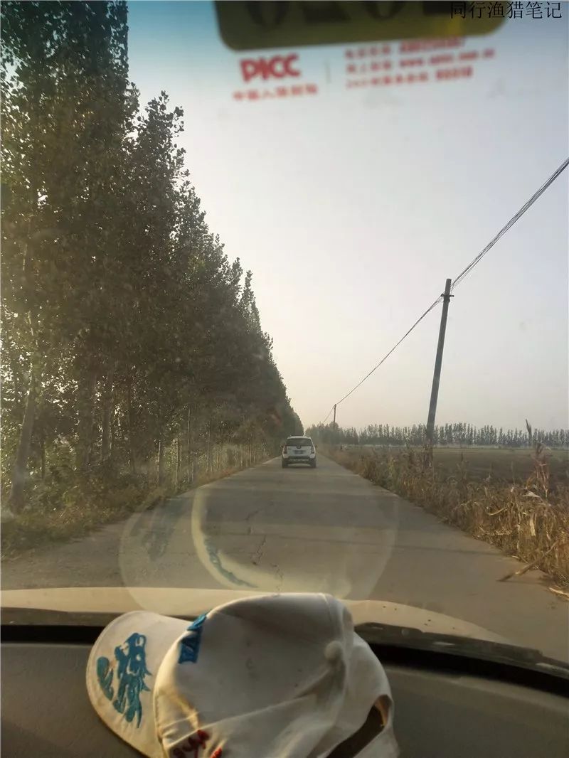 2019钓鲫鱼视频全集,钓鲫鱼的笔记