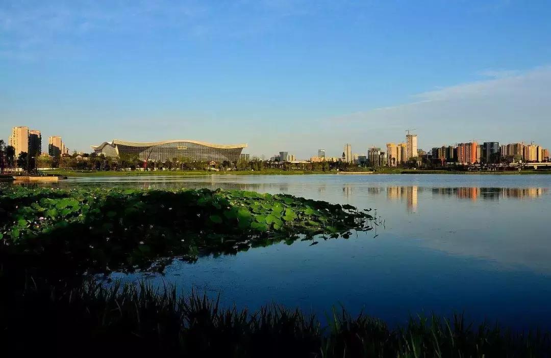 锦城湖大道附近美食,探店兴隆湖美食