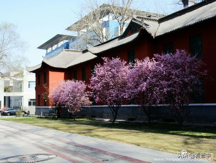 山西农大美丽的校园,山西农大校园风光