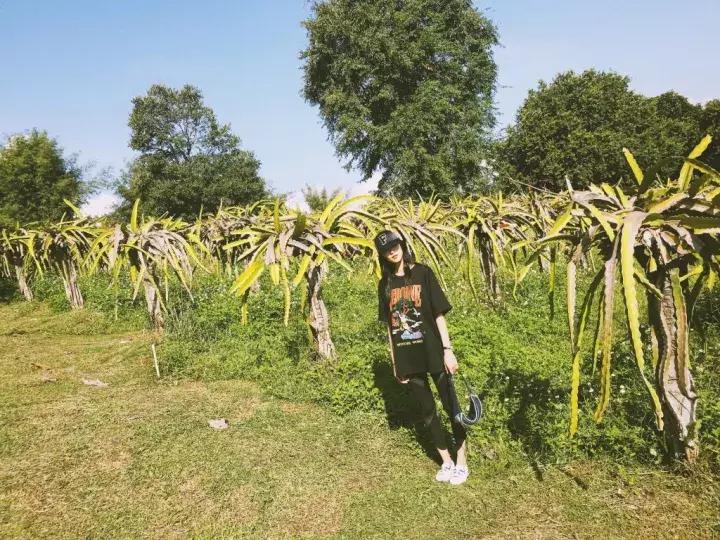 女人圆脸发型和方脸哪个更抗老,适合圆脸方脸女生的发型短发