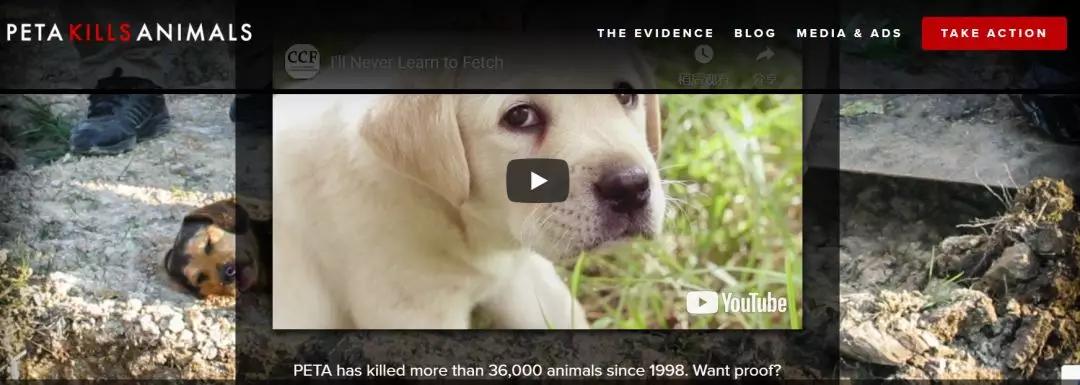 女权，LGBT，黑人，政治正确的江湖中，谁才是王者？