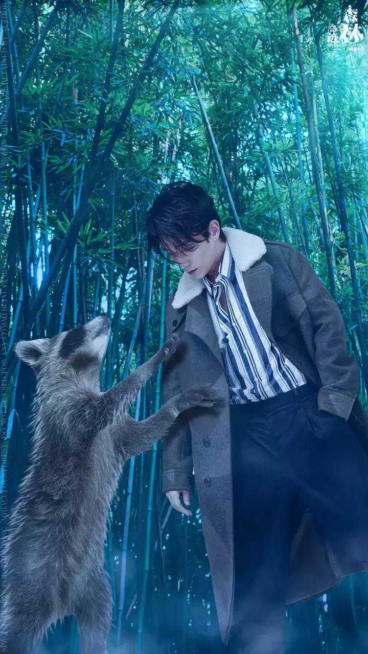 壁纸大合集动漫,壁纸合集动态