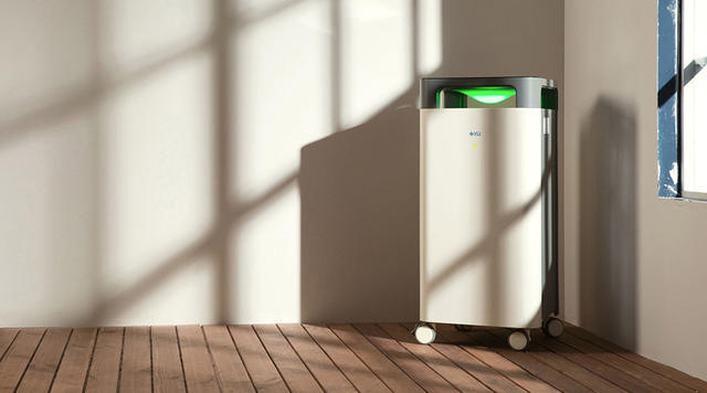 甲醛的危害去除甲醛的方法,担心屋里甲醛超标怎么办