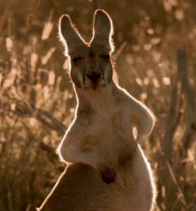 偏侧咀嚼造成脸歪补救,用一边牙齿咀嚼导致大小脸