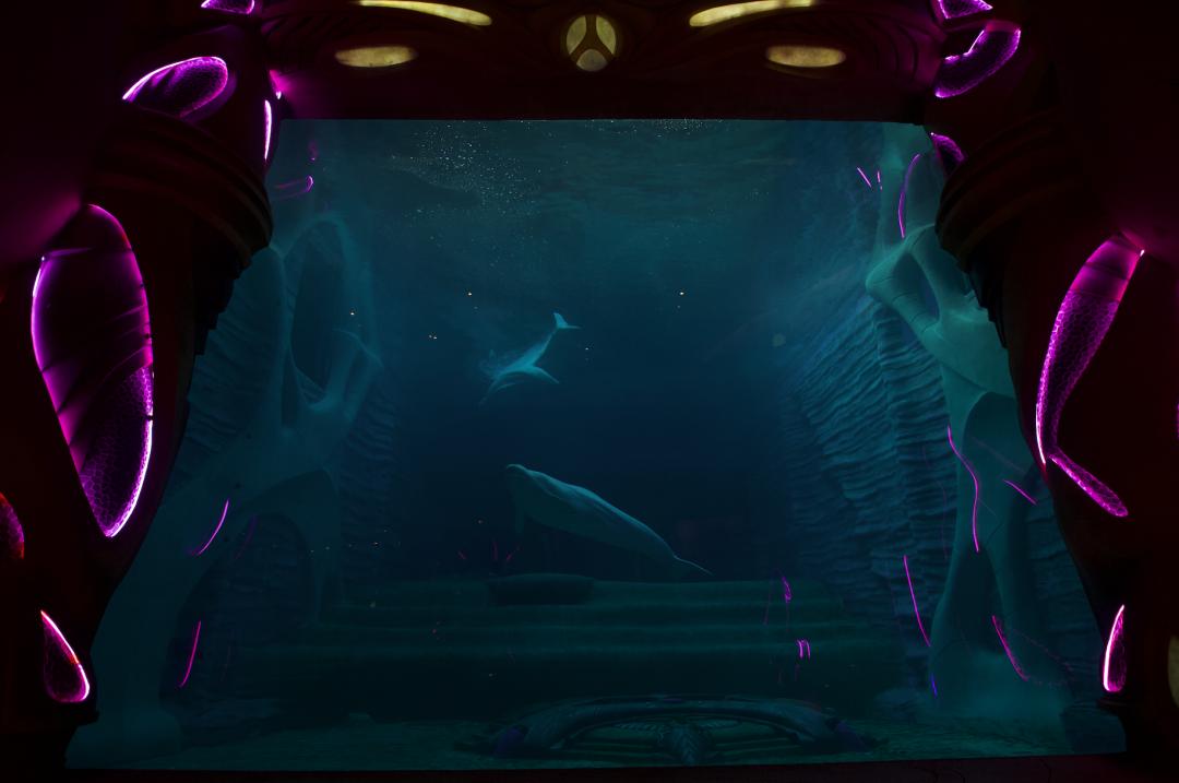 上九天揽月，下五洋捉鳖。看二孩老父亲如何带全家打卡亚特兰蒂斯