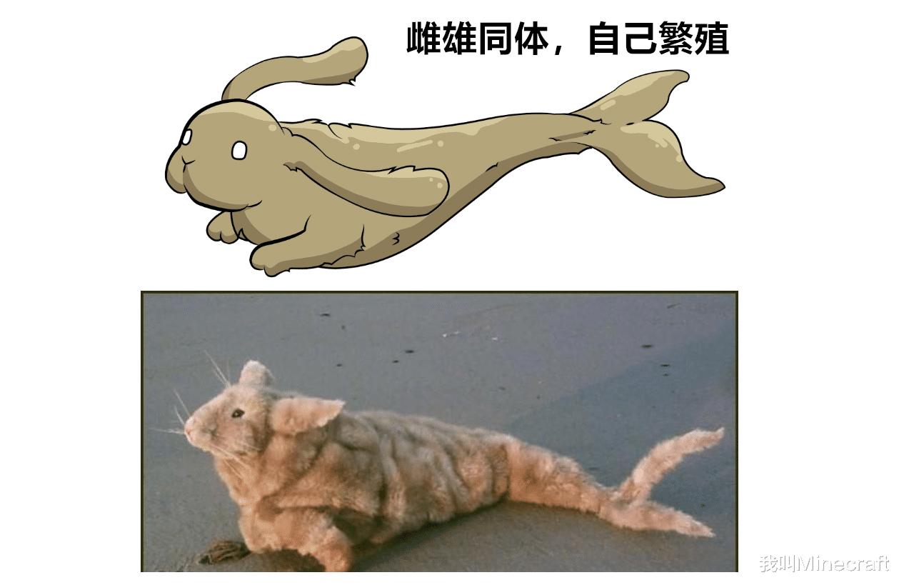 我的世界原理解析,我的世界10个反现实定律