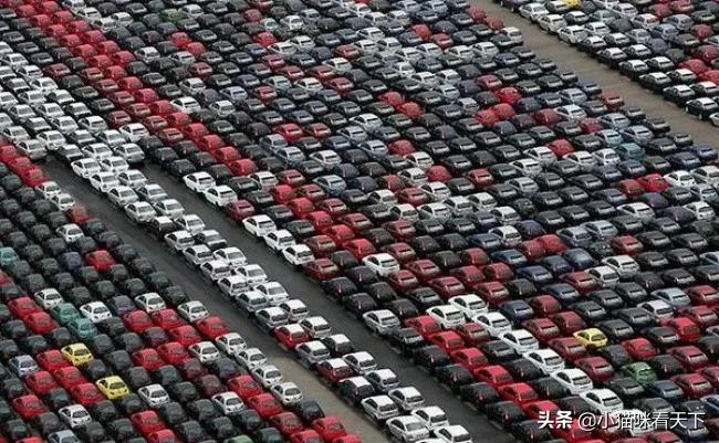 世界之大无奇不有各种各样的事情,无意中看到世界之大无奇不有