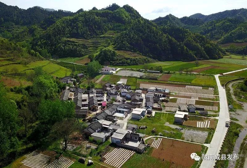 我叫成县，这是我2019年的自拍照~