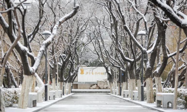 他们是企业董事长、投资银行家，都毕业于南开大学，还一起登上年度榜单！