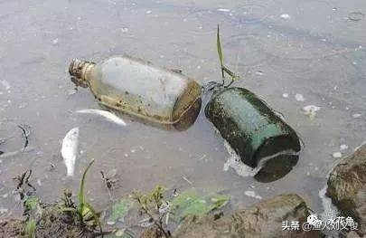 养殖池塘投毒犯什么罪,鱼塘里的鱼被农药毒了用什么解药