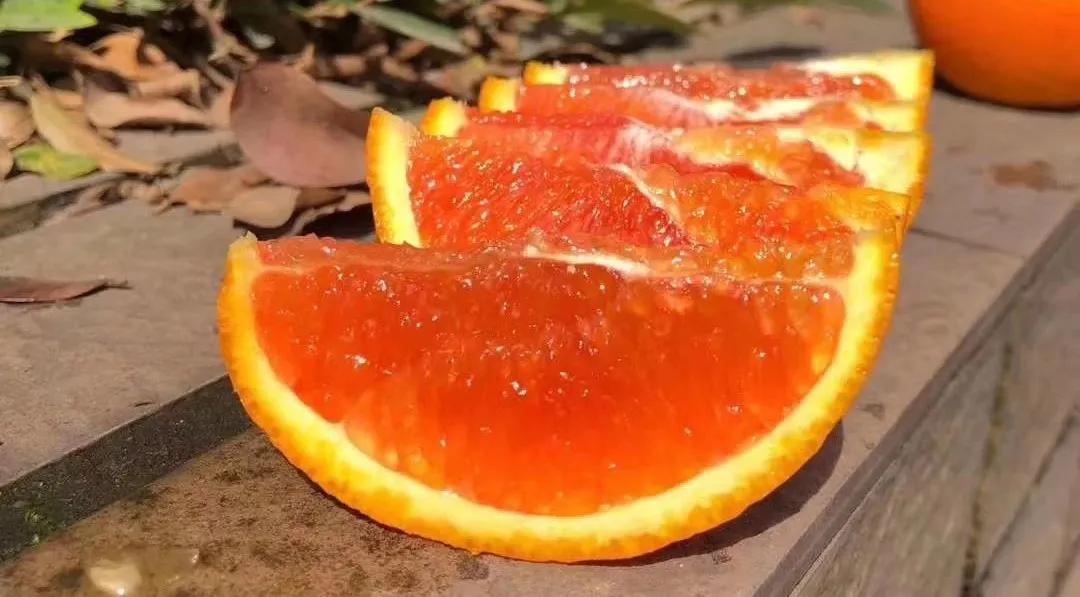 襄阳四季青水果批发市场位置,襄阳最大水果交易市场