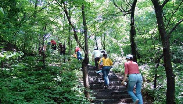 年轻人造成髌骨软化的原因,年轻人膝盖软怎么恢复