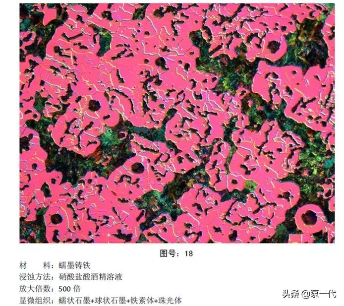马氏体、奥氏体、珠光体,20种材料彩色金相,带你轻松识别