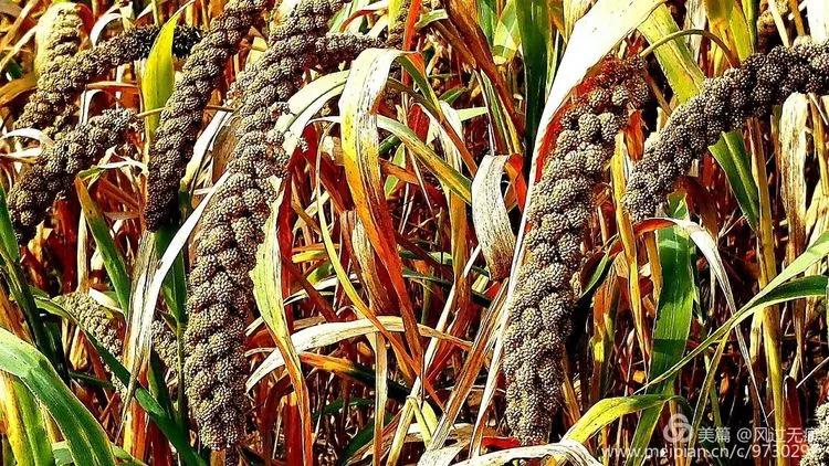 保定十八渡航拍,保定十八渡环湖公路