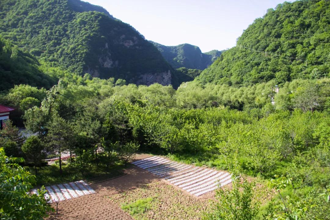 秦岭沣峪口上山有哪些景点,秦岭大坝沟瀑布