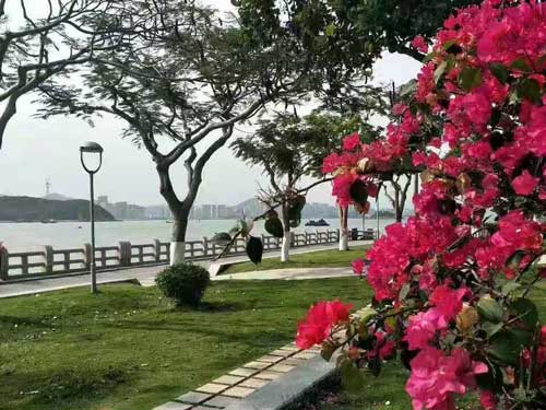 肌底液护肤步骤,护肤肌底液什么时候用