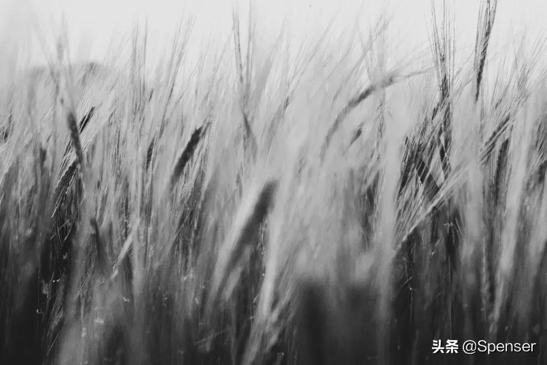 男人在深夜里偷看前任的朋友圈,如何戒掉窥探前任朋友圈