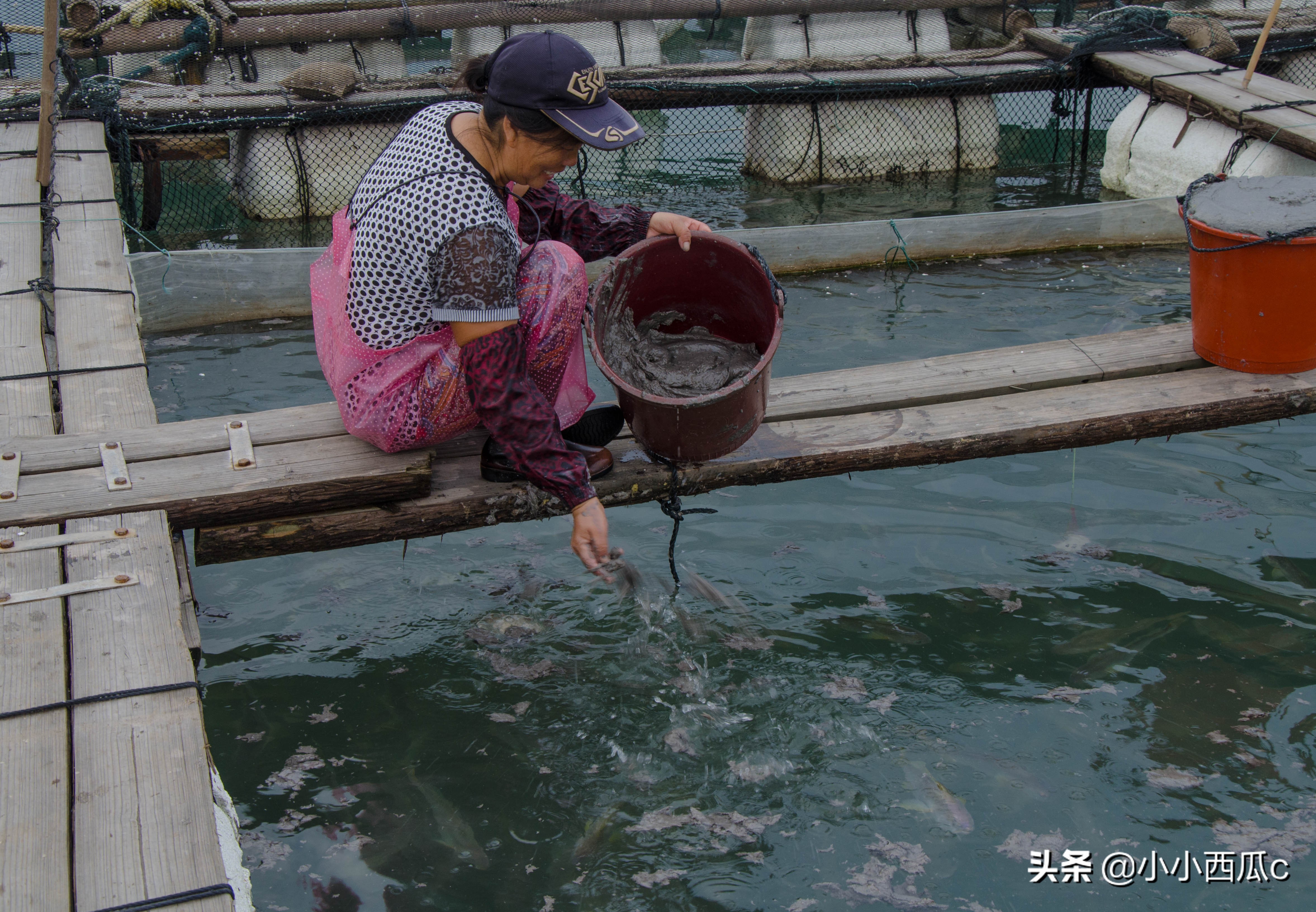 福建霞浦海岛小渔村,霞浦滩涂风光有哪些拍摄地点呢