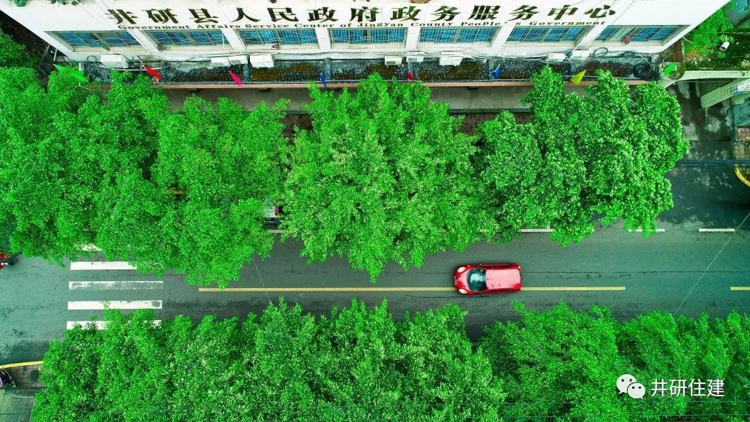 井研最新事件,井研县昨天发生的事