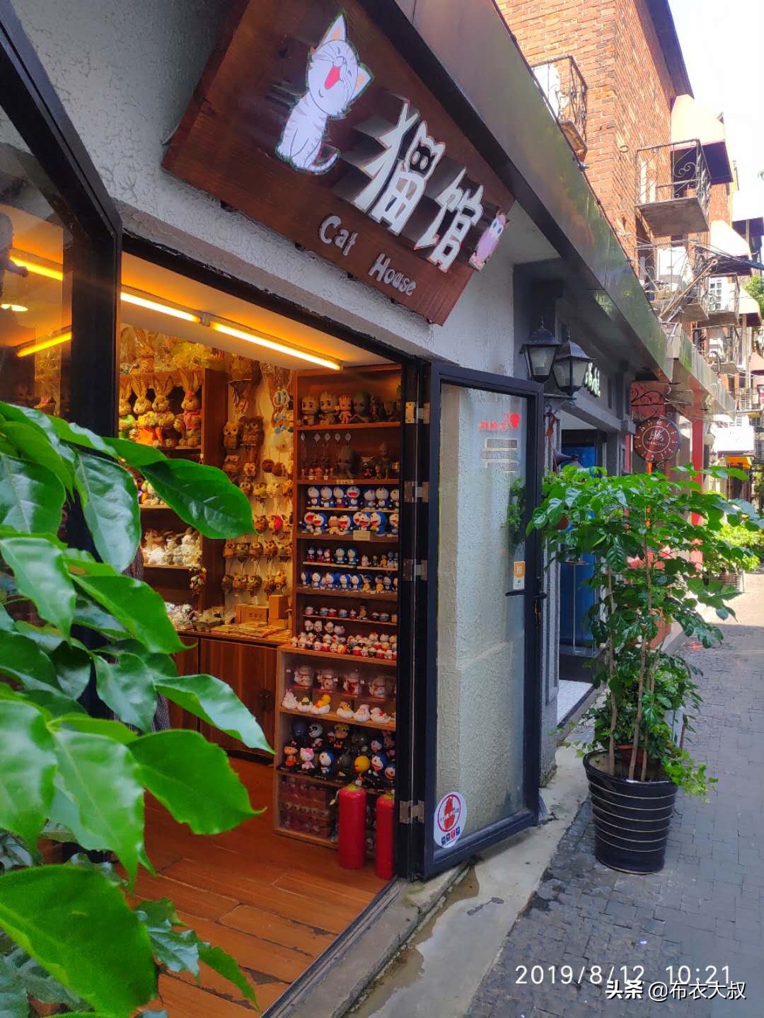 上海疫情可以去哪些景区旅游,上海疫情期间游玩推荐景点