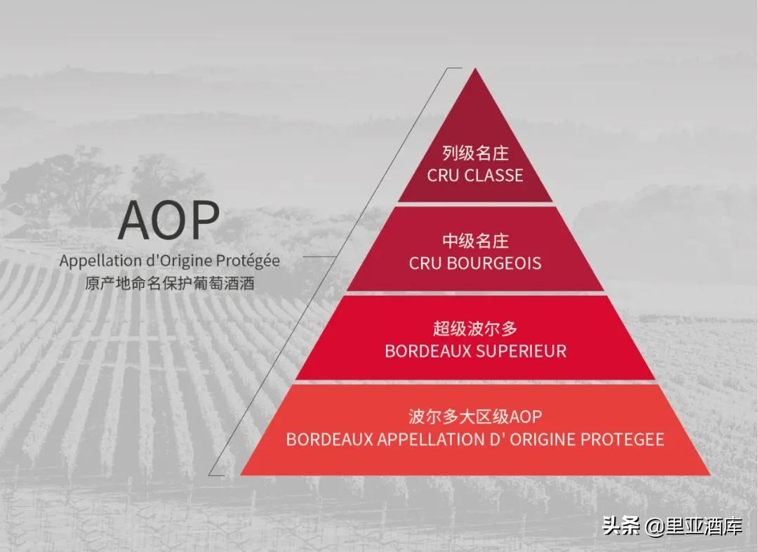 法国波尔多左岸葡萄酒产区,最完整详细的法国葡萄酒知识大全