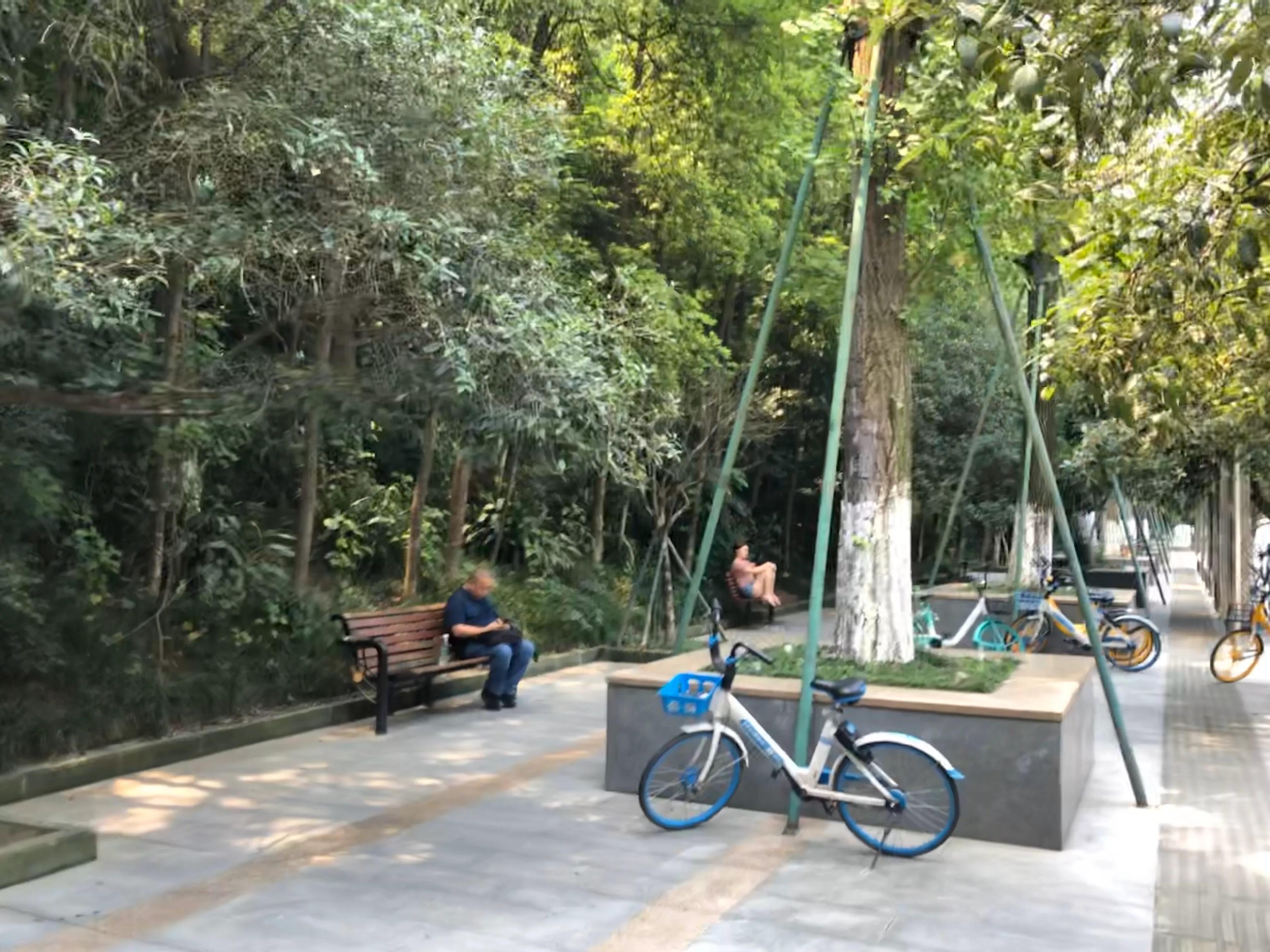 成都武侯区鹭岛路36号,成都鹭岛国际步行街豪车