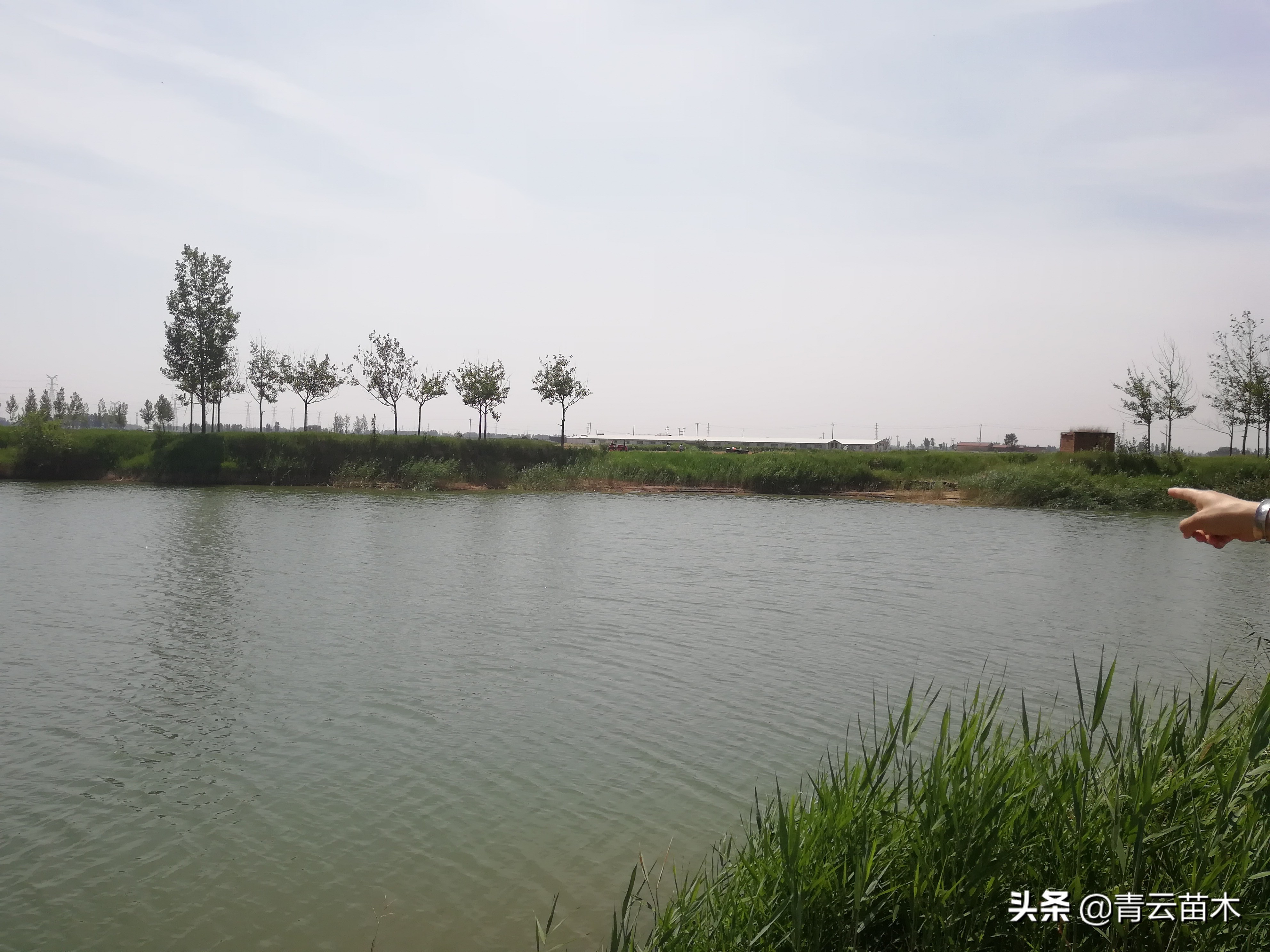 四十不惑后面是什么,四十不惑的不惑